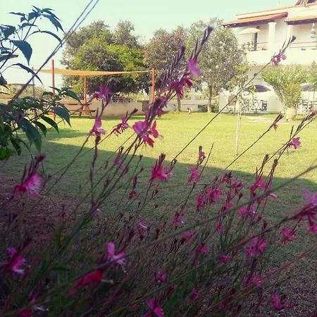 Voula * Agios Georgios (Corfu)