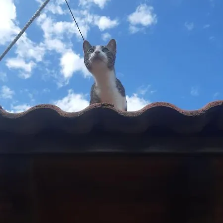 Lägenhet Voula Agios Georgios (Corfu)